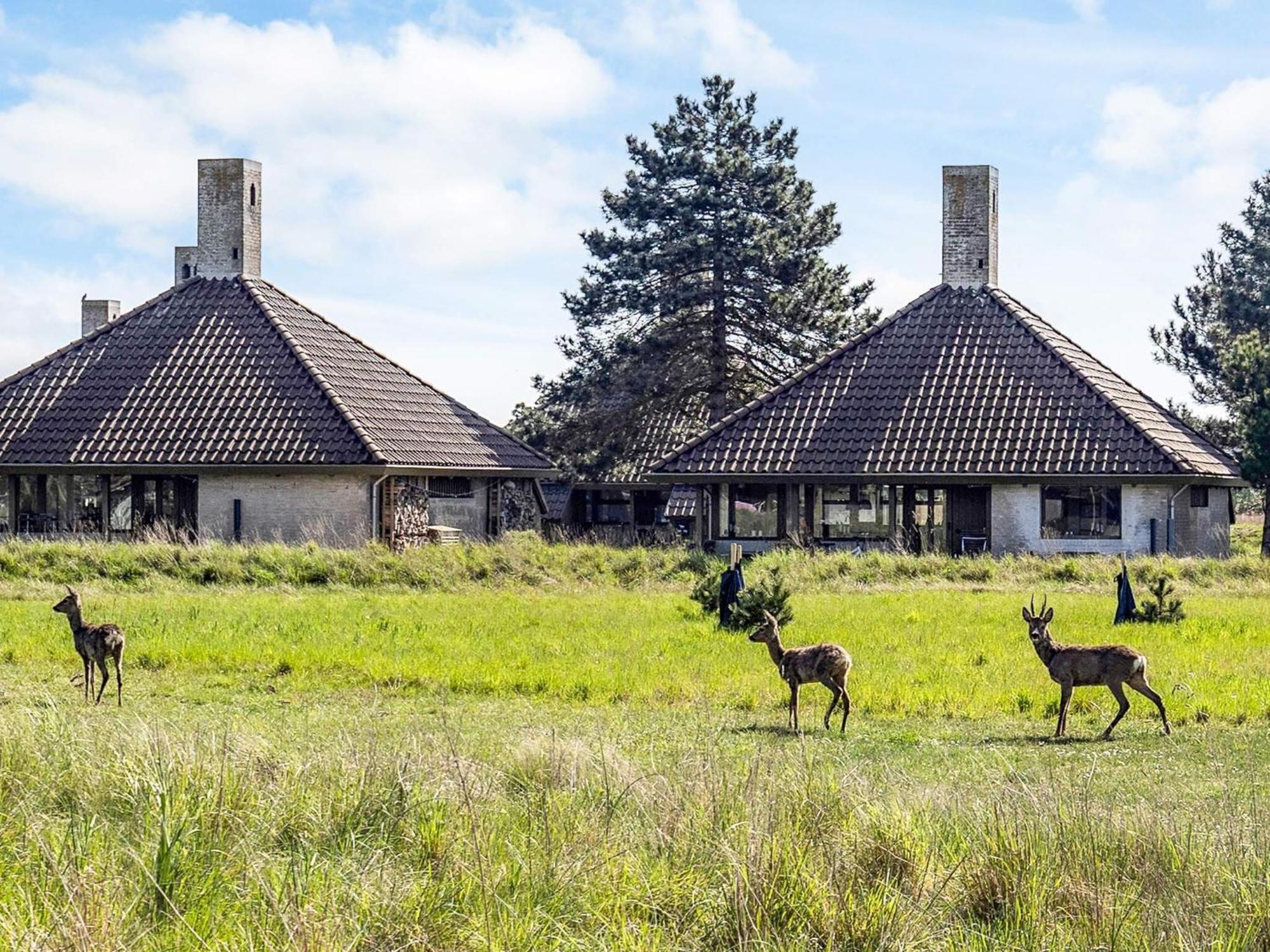 Holiday home Karrebæksminde XX Eksteriør billede
